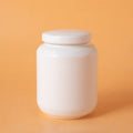 Pet Urn Dog Cat Ceramic Pet Memorial Jar Sealed with Lid Bone Jar Funeral Supplies